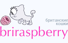 Питомник кошек Briraspberry
