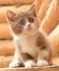 ????????????????????????????????????