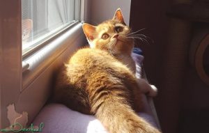 14433059_1081746571910623_7756032594496535524_n