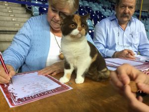 14907100_1123238494428097_6265817713624056041_n