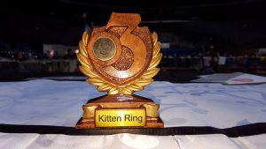 14915542_1123238457761434_691915583877390844_n