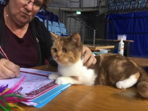 14937397_1123238527761427_5276933868525200291_n